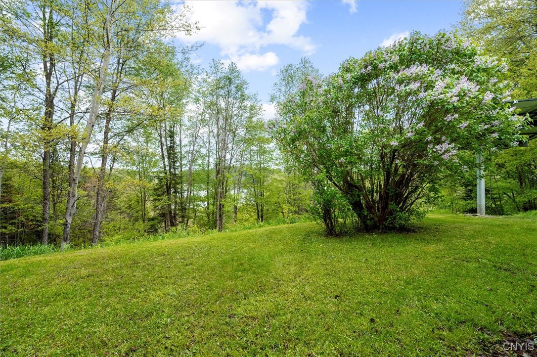 4064 Kayuta Terrace, Forestport, New York image 40