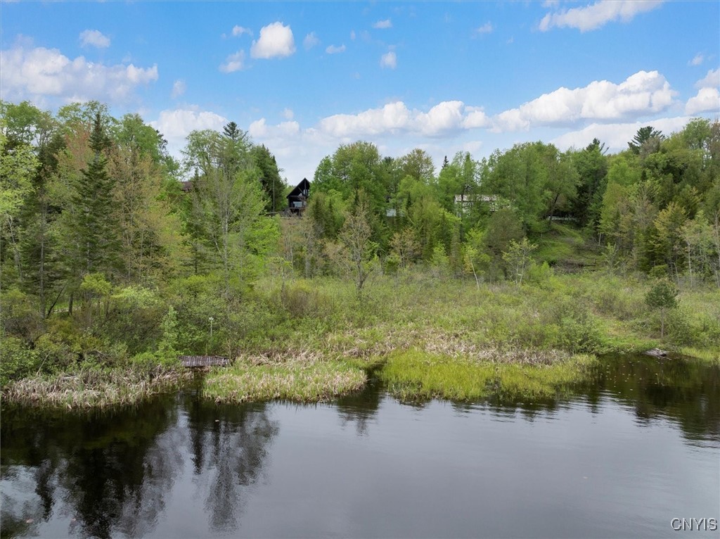 4064 Kayuta Terrace, Forestport, New York image 46