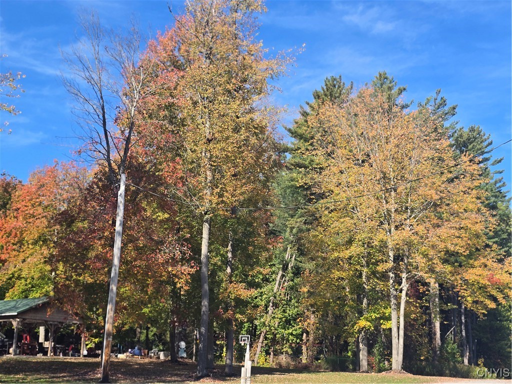 187 Millard Bassett Road