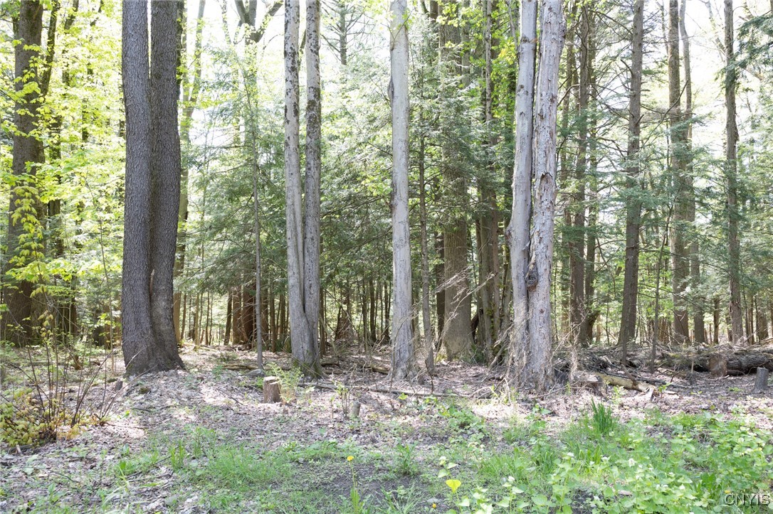 221 Pangborn Road, Hastings, New York image 34