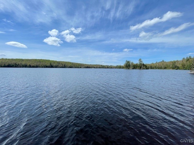 L21 Lake Snow Road, Indian Lake, New York image 10