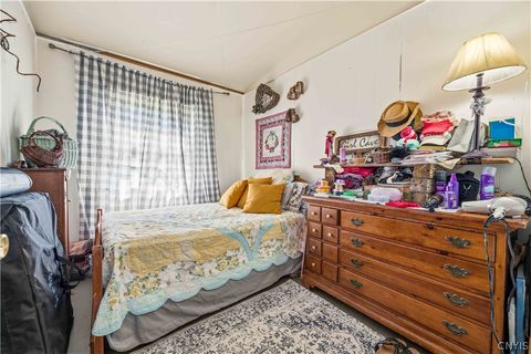 Tiny photo for 22 Denesha Place, Fulton, NY 13069 (MLS # S1693758)