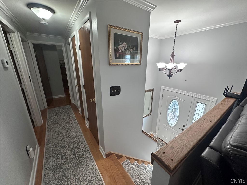 131 Marly Drive