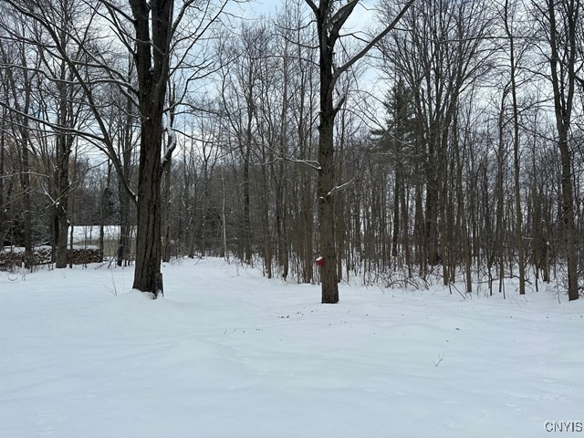98 Hickory Grove Drive, New Haven, New York image 17
