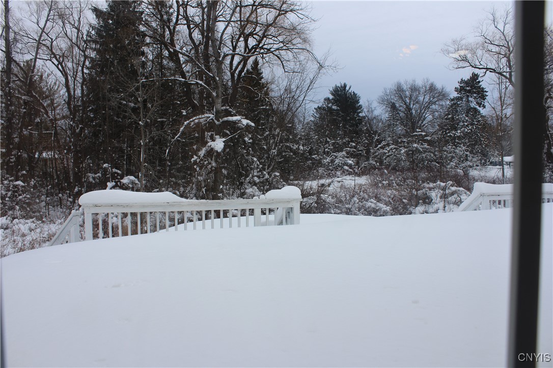 8752 Honeycomb, Cicero, New York image 37