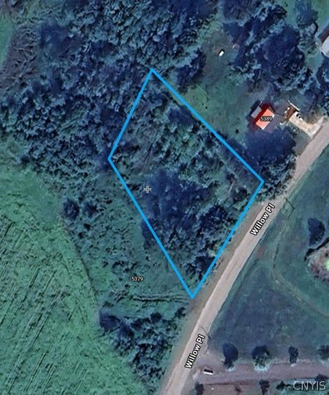Photo of Willow Place, Verona, NY 13478 (MLS # S1682057)