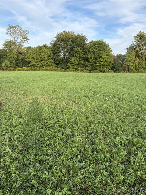 Vacant Land For Sale - 3936 East Road<br/> West Turin, NY 13473