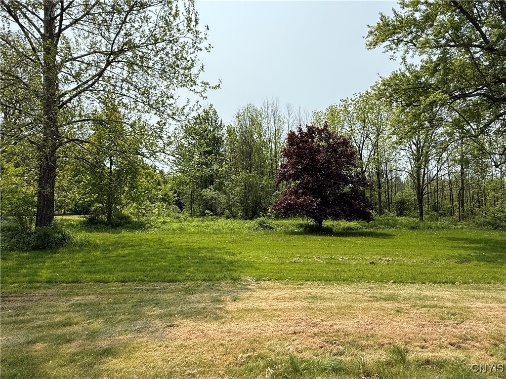 555 County Route 51, New Haven, New York image 35