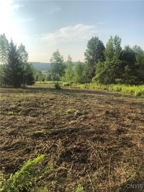 Photo of Midlum Road, Cuyler, NY 13158 (MLS # S1658703)