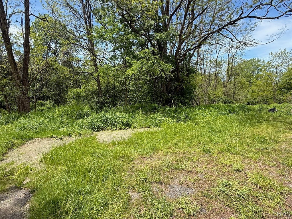 1559 County Route 48