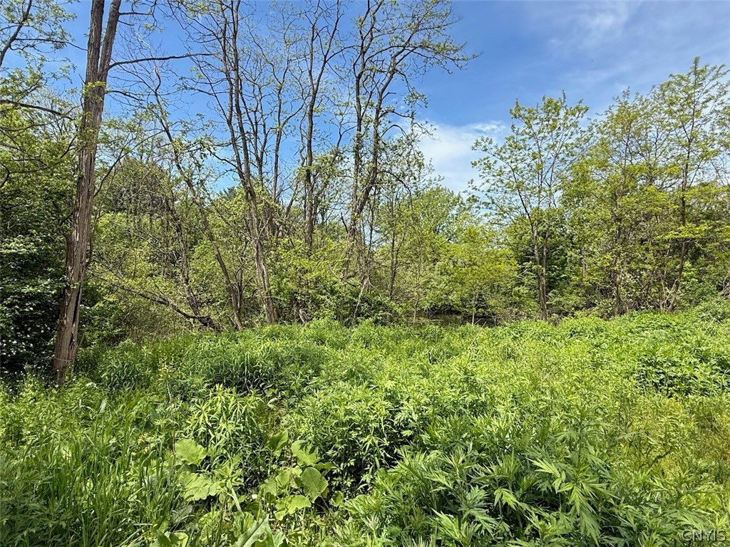 1559 County Route 48