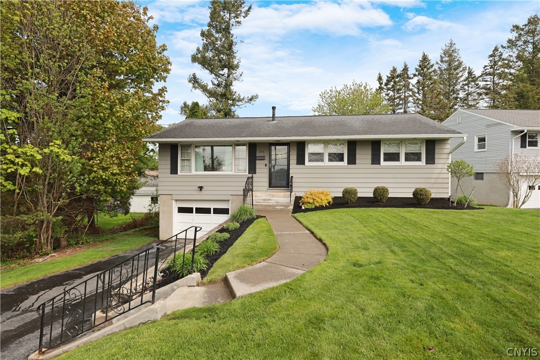 206 Salisbury Road
