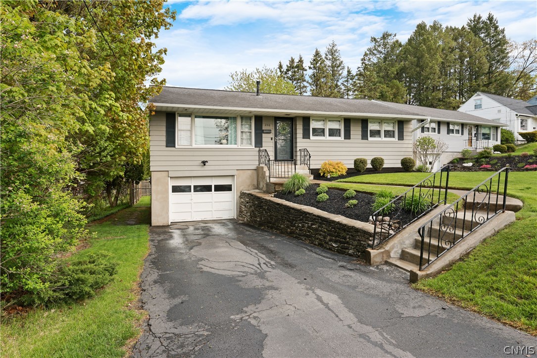 206 Salisbury Road