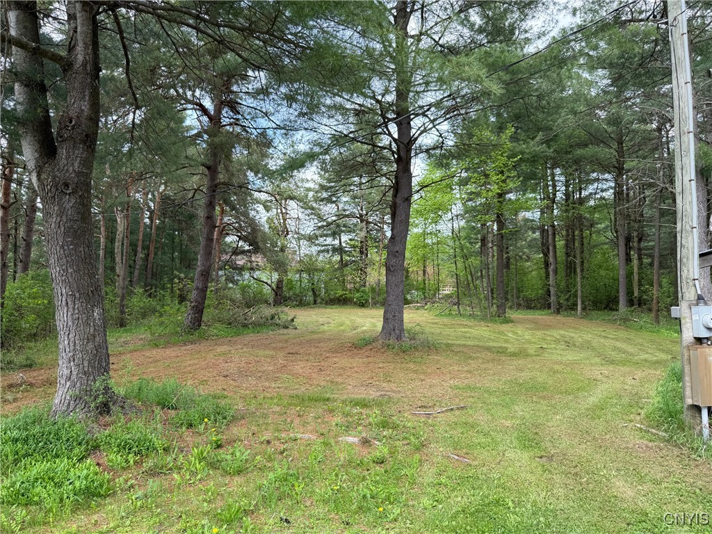 40190 Hyde Lake Road, Theresa, New York image 11