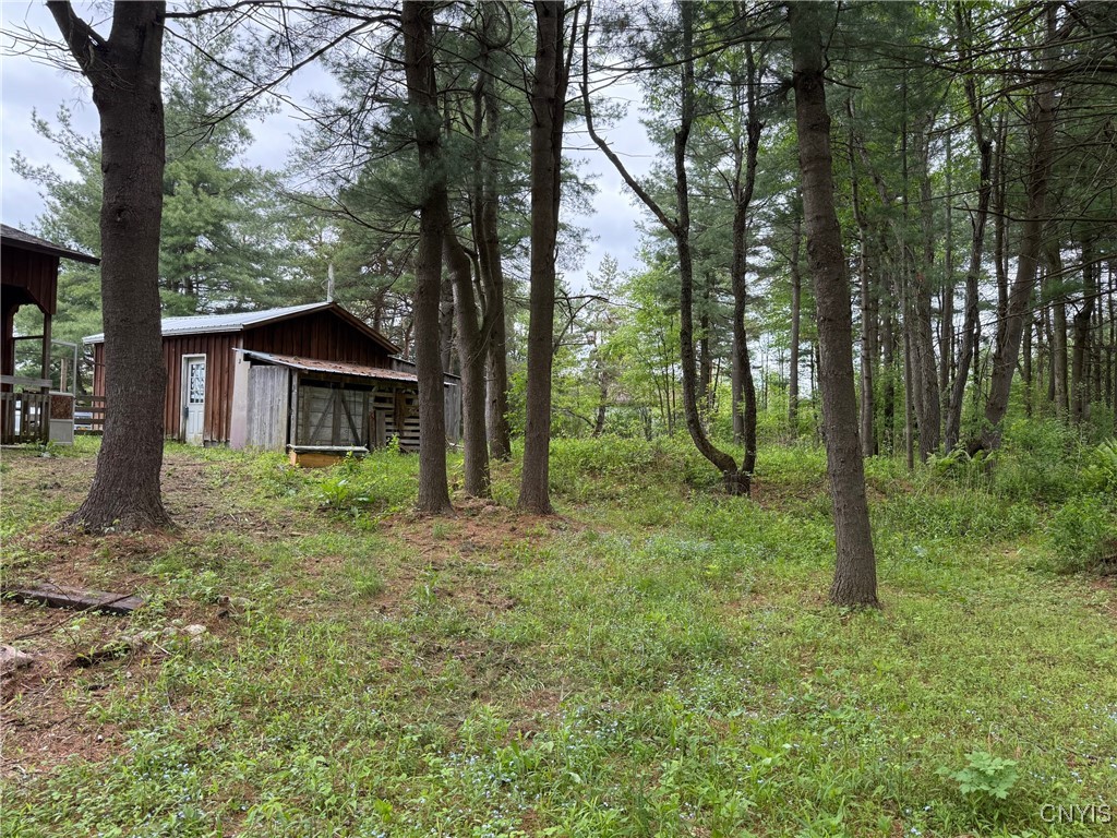40190 Hyde Lake Road, Theresa, New York image 13
