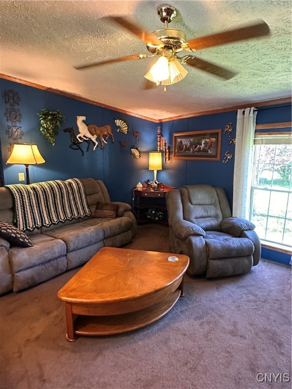 5688 Hill Road, Madison, New York image 15