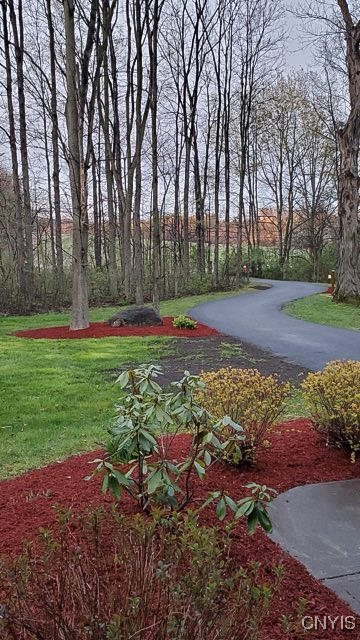 5721 Jordan Road, Elbridge, New York image 2