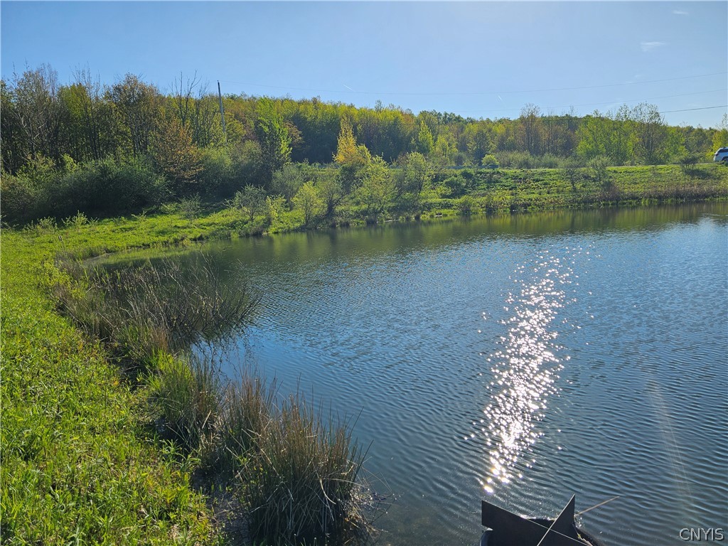 00 Twin Ponds Drive, Herkimer, New York image 8