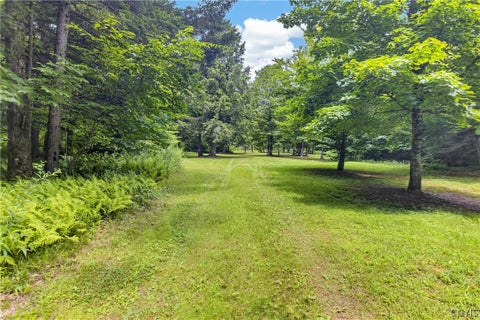 Tiny photo for 1 Buckingham rd, Ohio, NY 13324 (MLS # S1689633)
