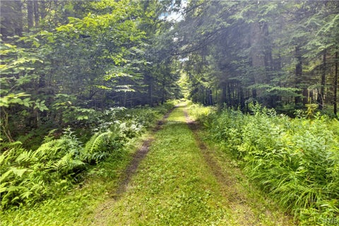 Tiny photo for 1 Buckingham rd, Ohio, NY 13324 (MLS # S1689633)