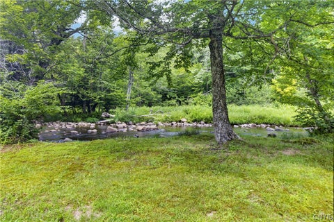 Tiny photo for 1 Buckingham rd, Ohio, NY 13324 (MLS # S1689633)