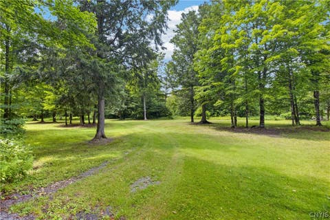 Tiny photo for 1 Buckingham rd, Ohio, NY 13324 (MLS # S1689633)