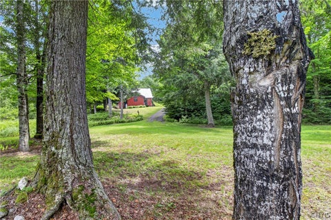 Tiny photo for 1 Buckingham rd, Ohio, NY 13324 (MLS # S1689633)