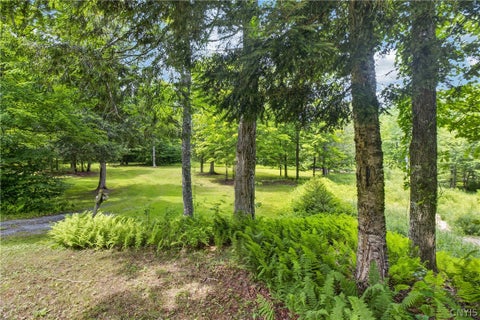 Tiny photo for 1 Buckingham rd, Ohio, NY 13324 (MLS # S1689633)