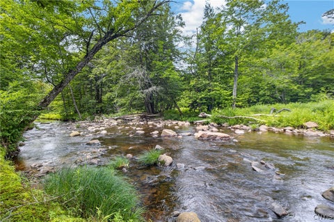 Tiny photo for 1 Buckingham rd, Ohio, NY 13324 (MLS # S1689633)