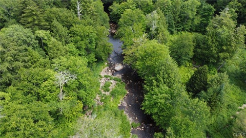 Tiny photo for 1 Buckingham rd, Ohio, NY 13324 (MLS # S1689633)