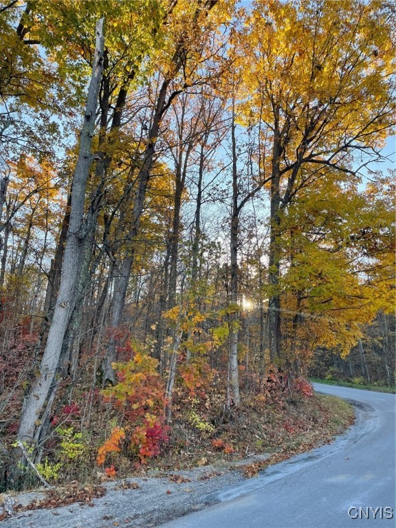 Little Bow Road, Gouverneur, New York image 4