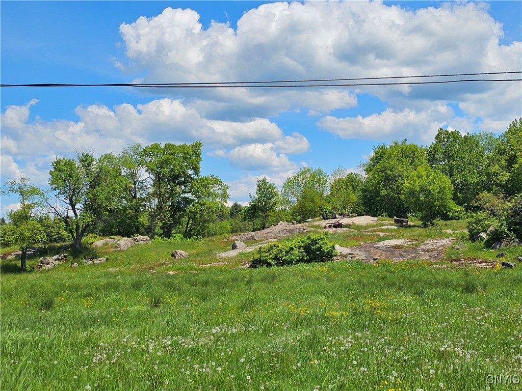 10646 Jackson Lane, Croghan, New York image 14