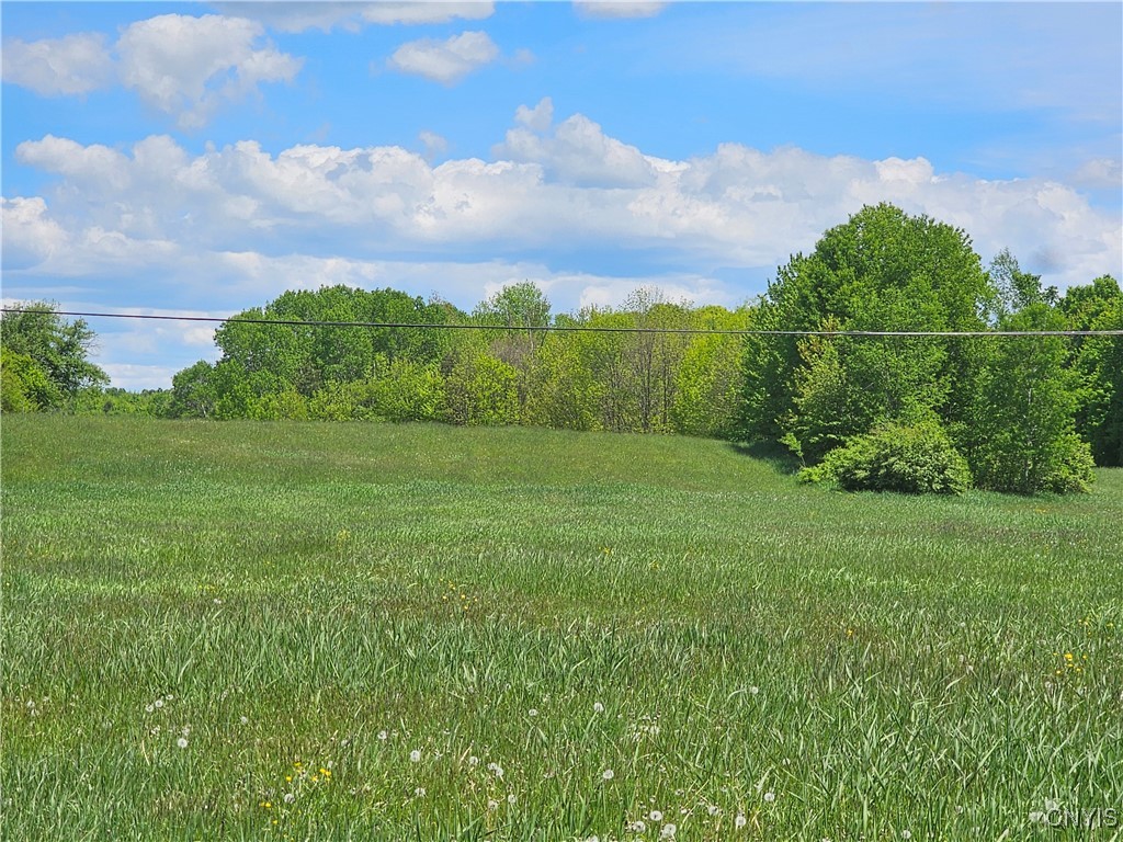 10646 Jackson Lane, Croghan, New York image 20