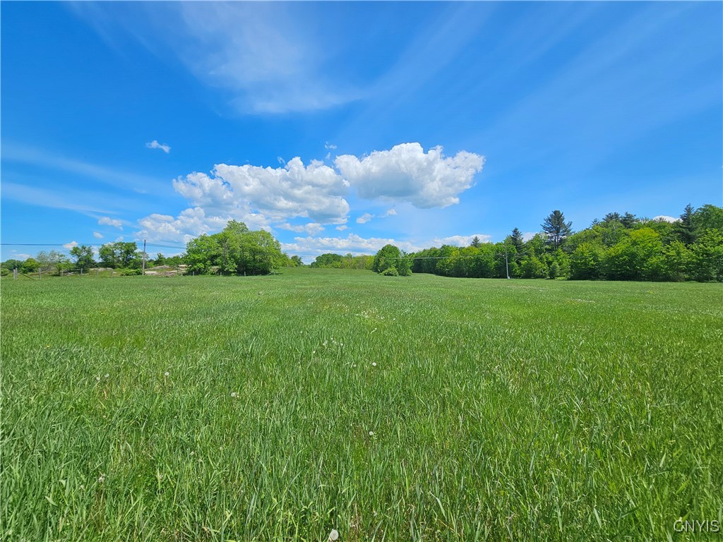 10646 Jackson Lane, Croghan, New York image 18