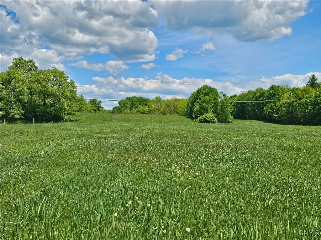 10646 Jackson Lane, Croghan, New York image 19