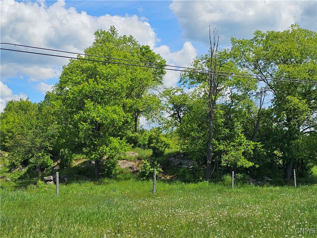 10646 Jackson Lane, Croghan, New York image 15