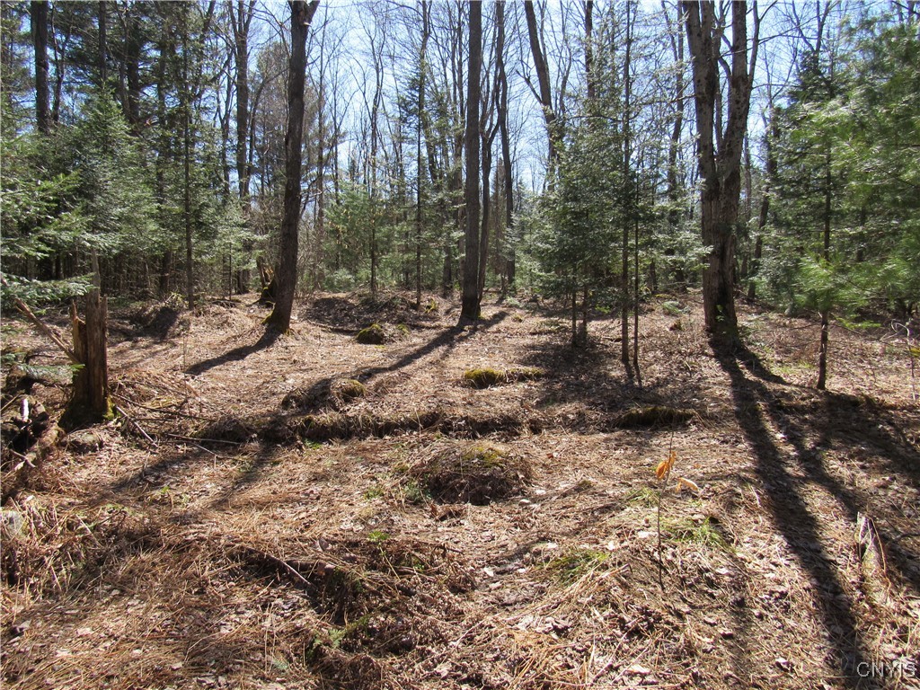 1018 South Road, Forestport, New York image 4