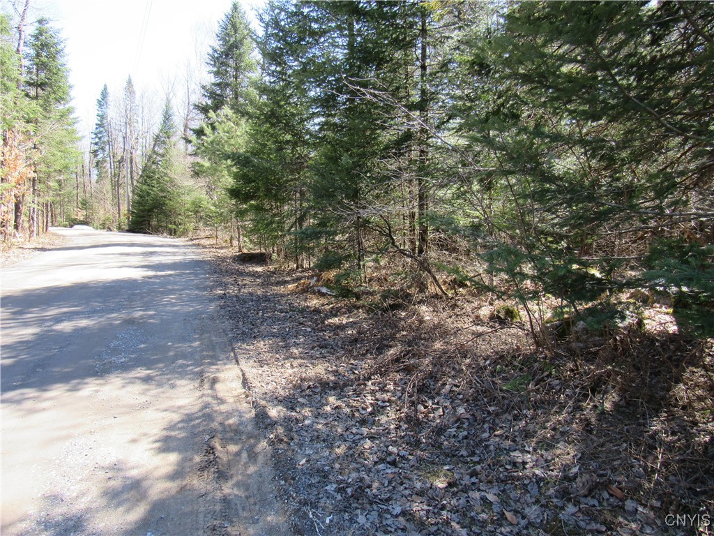 1018 South Road, Forestport, New York image 5