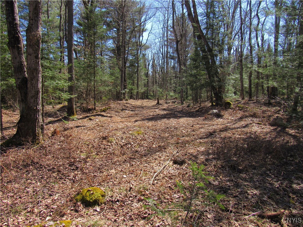 1018 South Road, Forestport, New York image 7