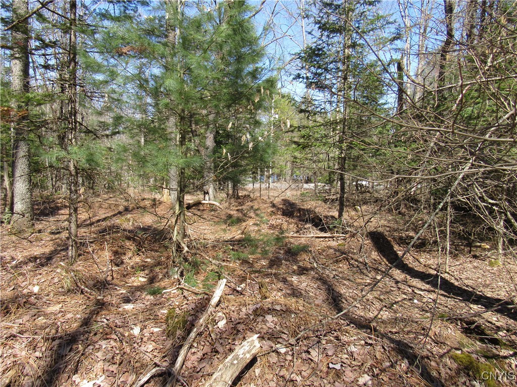 1018 South Road, Forestport, New York image 8