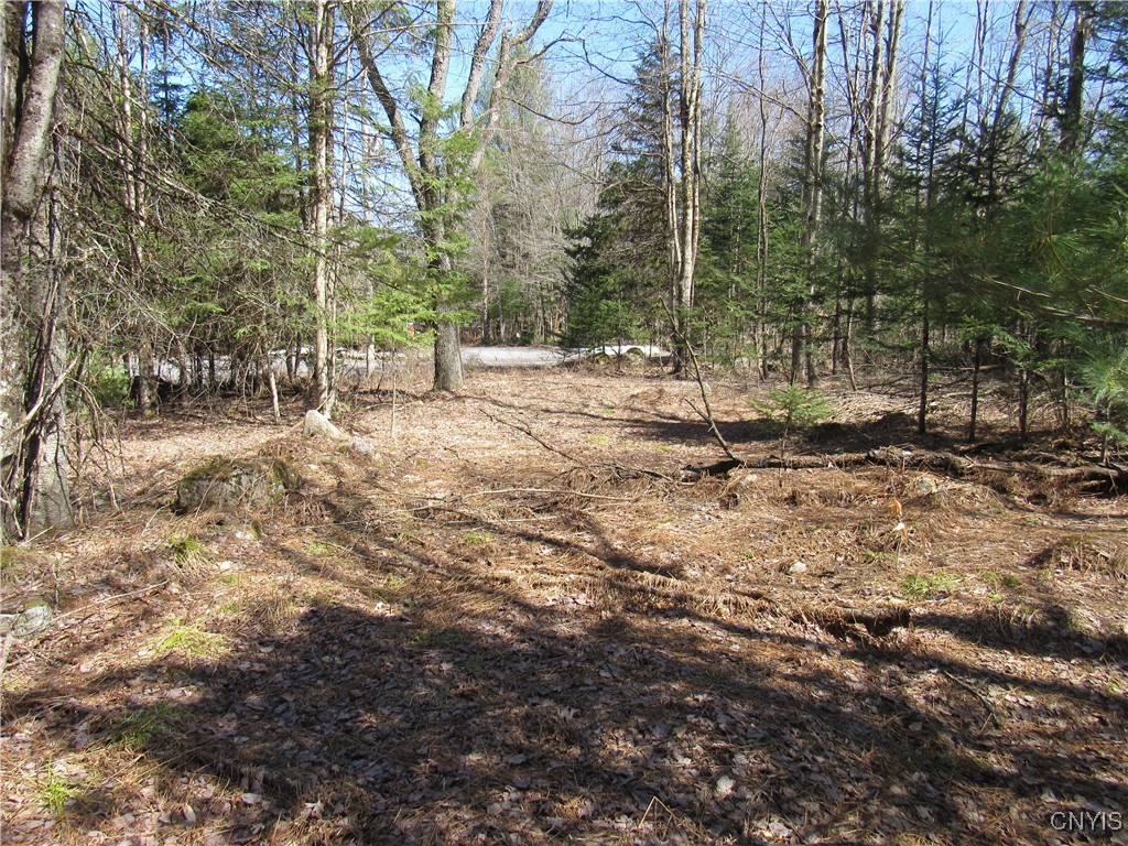 1018 South Road, Forestport, New York image 9