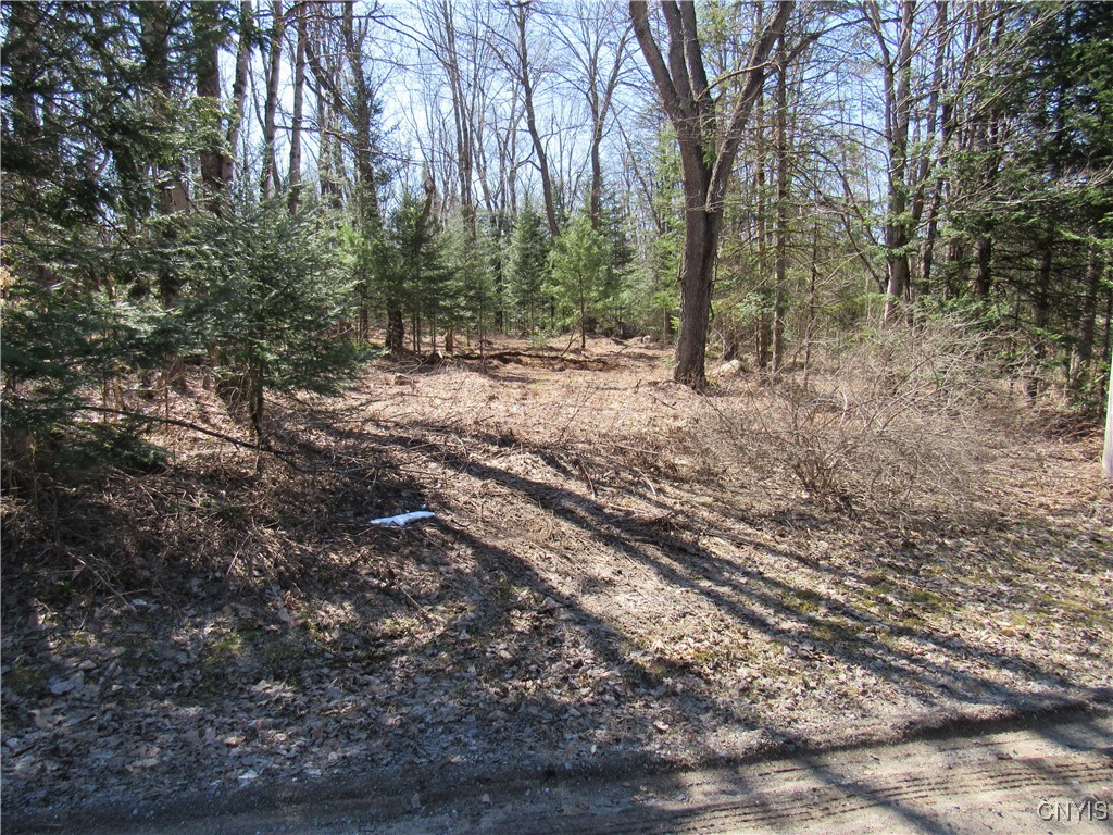 1018 South Road, Forestport, New York image 3