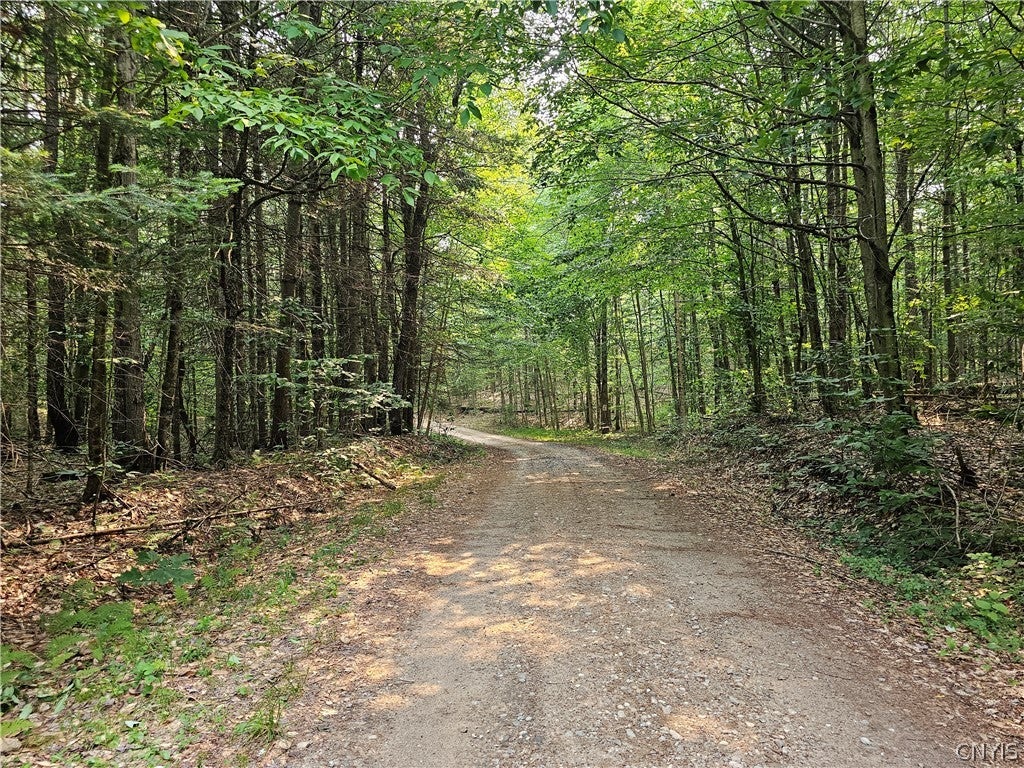 00 Bellingertown Road