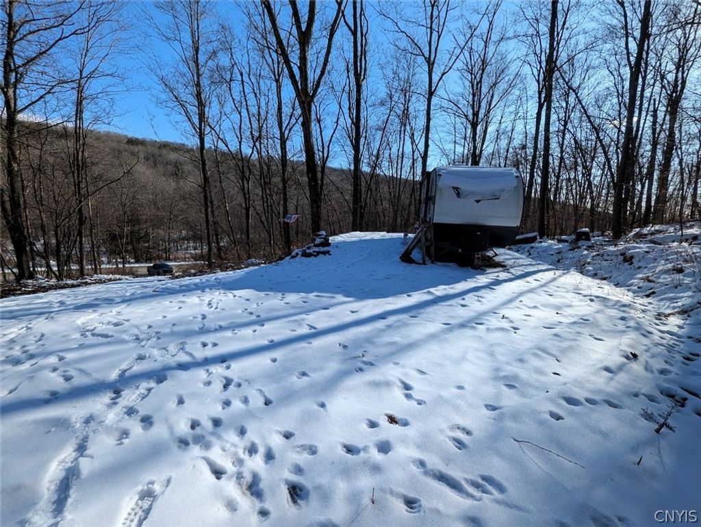 Photo of 00 Beeman Hollow Road, Erwin, NY 14801 (MLS # S1667447)