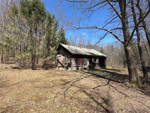 Vacant Land For Sale - 4319 Steenrod Road<br/> Allegany County, Friendship, NY 14739