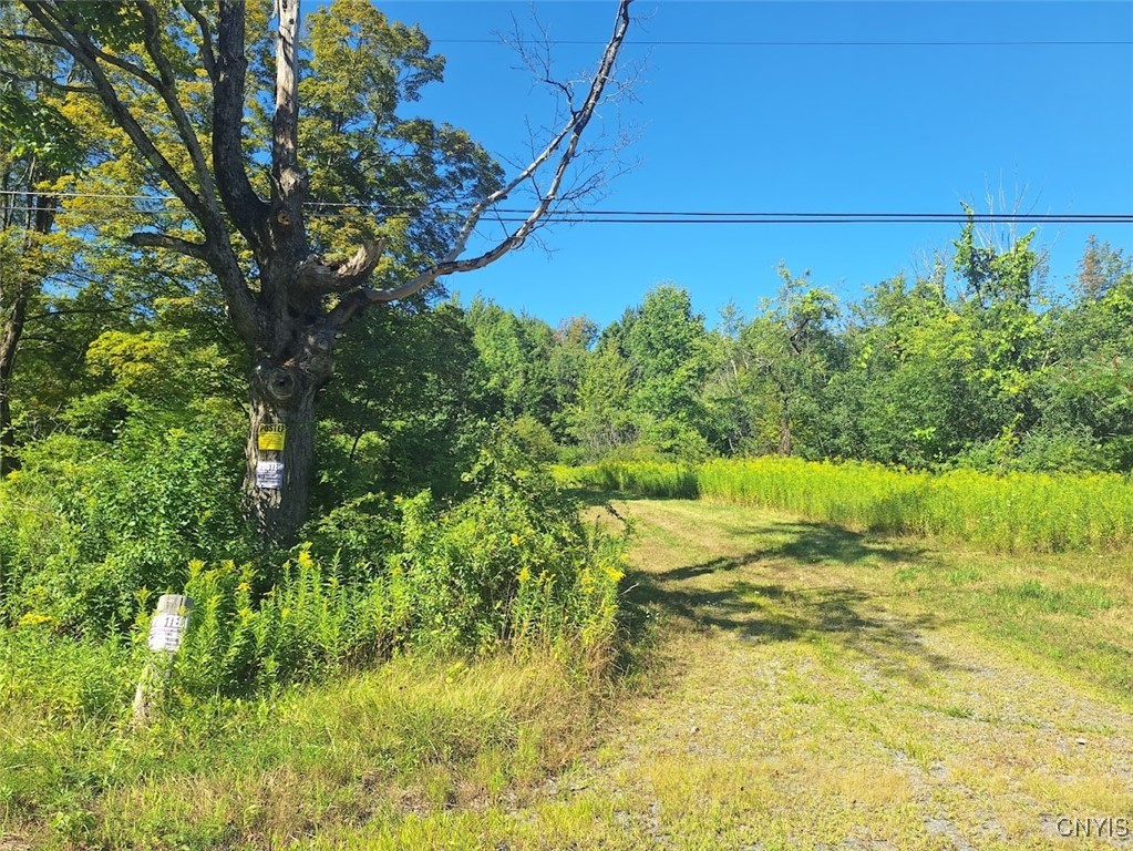 787 Dutch Hill Road