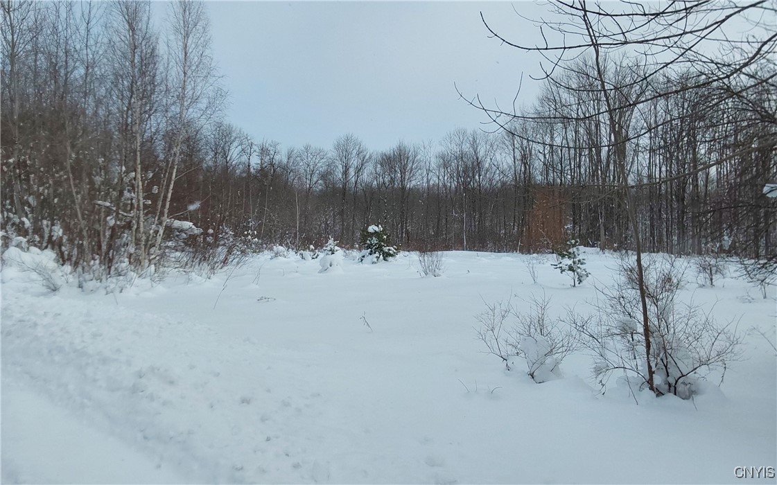 NYS Rt 365