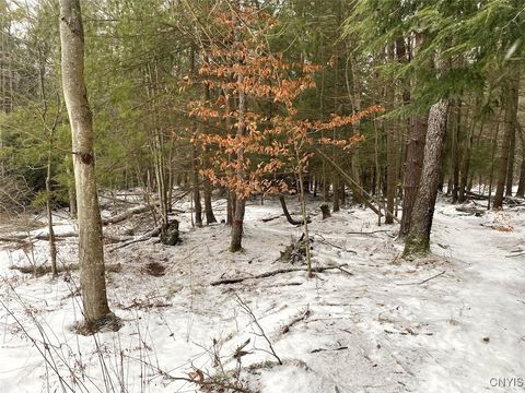 Tiny photo for 1892 County Road 18, Alma, NY 14895 (MLS # S1656318)
