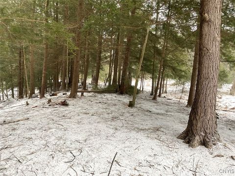 Tiny photo for 1892 County Road 18, Alma, NY 14895 (MLS # S1656318)