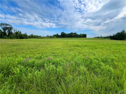 Vacant Land For Sale - Rt-31 St<br/> Elbridge, NY 13080